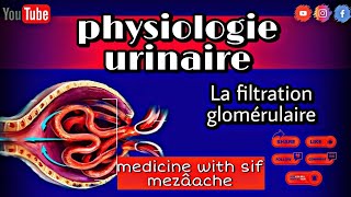 3 La Filtration Glomérulaire  Physiologie 2éme Med [upl. by Cissiee266]