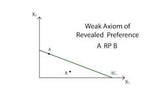 A14 Revealed preference  Consumption  Microeconomics [upl. by Kaya208]