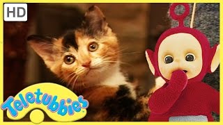 Teletubbies Full Episode  Kittens ★ Episode 182  HD [upl. by Shara775]