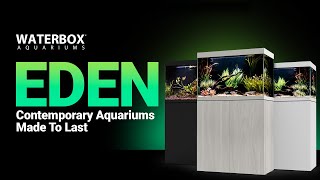 The EDEN Freshwater Aquarium System from Waterbox Aquariums® [upl. by Dloreg]