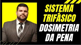 ðŸ”´ Dosimetria da Pena CÃ¡lculo da Pena  Direito Penal RESUMO [upl. by Irvine]