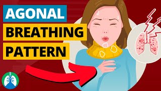 Agonal Breathing Medical Definition  Quick Explainer Video [upl. by Joris839]