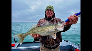 Lake Erie Walleye March Madness [upl. by Karlan]