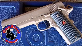 Shooting Davidson’s Exclusive Colt Delta Elite FDE Cerakote 10mm SemiAuto Pistol  Gunblastcom [upl. by Brunn]