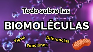 TODO sobre las BIOMOLÉCULAS 🧬📚 Tipos funciones ejemplos [upl. by Eciram]