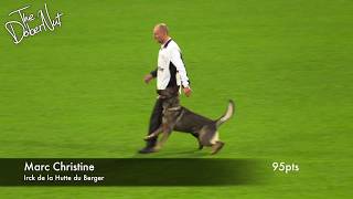 WUSV 2017 Marc Christine Irck de la Hutte du Berger B Obedience 95pts [upl. by Lawan]