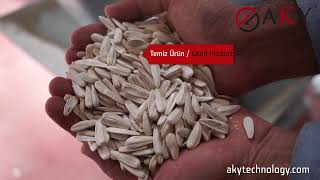 Sunflower Seed Cleaning Plant  AKY Technology [upl. by Cedell]