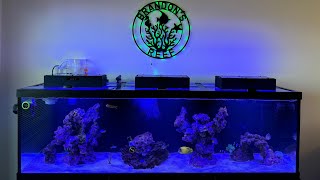 Petsmart Aqueon 125 gallon aquarium review [upl. by Lavona621]