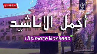 2022 اجمل واروع الاناشيد الهادئة على اليوتيوب Ultimate Nasheed Collection محمد هشام [upl. by Spence]