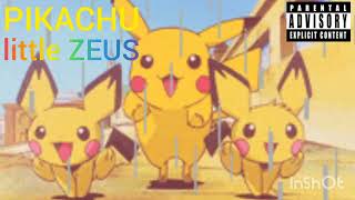 PIKACHU little ZEUS DAVID GRIFFITHS BRIDLINGTON BEATS YOUTUBE CHANNEL [upl. by Previdi]