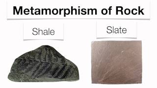 Types Of Rocks  Sedimentary Igneous Metamorphic [upl. by Rufford]