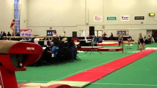 Denelle Pedrick  Vault JR Qualification  2013 Canadian Championships [upl. by Accalia913]