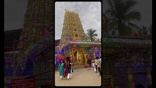 Peddamma thalli temple visit Hyderabad dasara durgamata navaratri hyderabad trending shorts [upl. by Alcock]