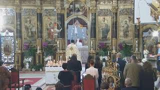 Episcopia GrecoCatolică de Oradea Live Stream [upl. by Atiuqihs269]