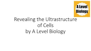 Revealing the Ultrastructure of Cells  A Level Biology [upl. by Oicnanev941]