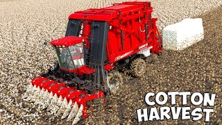 Farming Simulator 19  COTTON PICKER  CASE IH MODULE EXPRESS 635 [upl. by Jann410]