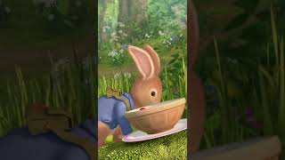 🎶 🌸 🎵 Spring has sprung 🎵 🌸 🎶 PeterRabbit Spring Song Shorts [upl. by Kceb586]