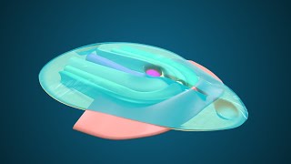 Fate Map during Gastrulation  3D Human Embryology  Third Week Embryology [upl. by Alenas]