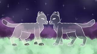 Bluestar PMV Titanium [upl. by Brion495]