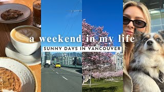 🌞 sunny weekend in Vancouver vlog 💛 [upl. by Darmit]