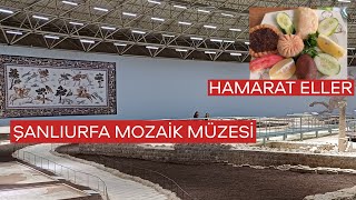 HALEPLİ BAHÇE MOZAİK MÜZESİ  HAMARAT ELLER  ŞANLIURFA [upl. by Razatlab]