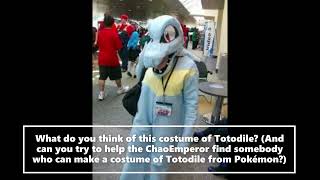 What Do You Think Of This Totodile Costume From Pokemon Gold and Silver [upl. by Demetrius]