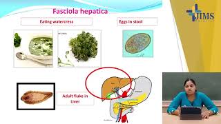 Topic  Trematodes  Part I [upl. by Sanfred]