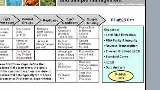 Application of MIQE Guidelines to qPCR [upl. by Cini603]