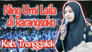 NING UMI LAILA DI KARANGSOKO KABUPATEN TRENGGALEK  BERSAMA EMAKquot LUCU DAPAT CUAN [upl. by Arie138]