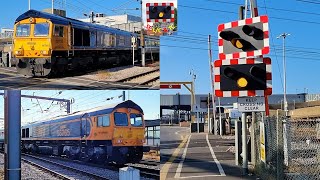 Class 66s quotThe Powerful Parkeston Panoramaquot Railtour at Parkeston West Level Crossing Essex [upl. by Nnep]