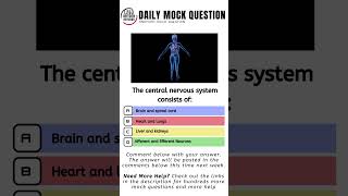 Anatomy Quiz the central nervous system consists of [upl. by Plusch]