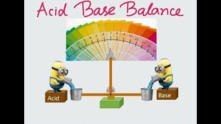 Basics of Acid Base Balance [upl. by Gosselin]