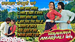 video  Dinesh Lal Yadav amp Amrapali Dubey Song 2024  dineshlalyadav amrapalidubey bhojpurisong [upl. by Rustie]