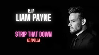 Liam Payne ft Quavo Strip That Down Acapella  Vocals Only [upl. by Schuster]