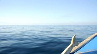 Boat trip to the cayes from Utila Honduras [upl. by Enala]