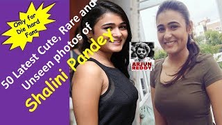 Arjun Reddy actress Shalini Pandey photos latest Shalini Pandey photoshoot [upl. by Nedak]