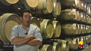 Bodegas Enrique Mendoza  Vinos Alicante DOP [upl. by Yttocs]