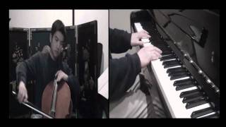 Adele Someone Like You  Cello Cover [upl. by Eelannej364]