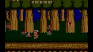 Adventure Island NES  Level 74  Perfect Run Recorded on Wii Virtual Console [upl. by Feucht]