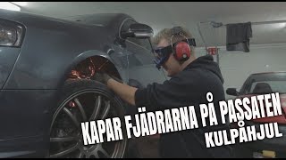 KULPÅHJUL KAPAR MINA FJÄDRAR  VLOG 32 [upl. by Asek]