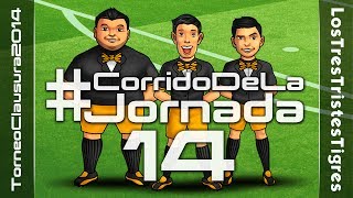 CorridoDeLaJornada 14  Torneo Clausura 2014  Los Tres Tristes Tigres [upl. by Sonni498]