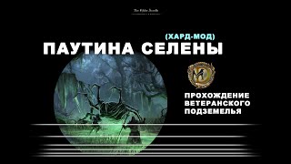 Паутина Селены ветеранское подземелье усложненный режим  Selenes Web veteran hardmode ESO  Гайд [upl. by Noynek306]