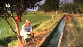 बिना पानी चावल की खेती Growing rice without water [upl. by Ragnar]