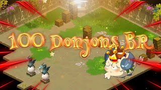 Dofus Rétro ALLISTERIA  RoadToFarm 100 Donjons Bouftous [upl. by Kletter717]