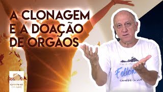 A Clonagem e a DOAÇÃO de ÓRGÃOS  Prof Laércio Fonseca [upl. by Lobel611]