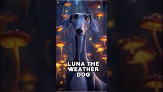 🐶Cute dog saves town from hurricane dog adorable love fyp ai viral cute animated pixar [upl. by Alyahsat]