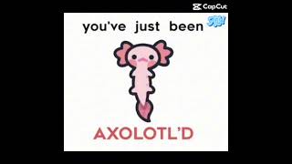 GET AXOLOTL’D😂 [upl. by Aivuy]