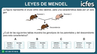 📚 ICFES 2024  Ciencias Naturales Leyes de Mendel [upl. by Skier]