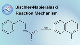 BischlerNapieralaski Reaction Mechanism  Organic Chemistry [upl. by Enixam]