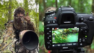 Fotografía de Aves  Una de las MÁS DIFÍCILES de ver en CR 😱​📸​ [upl. by Amilah]